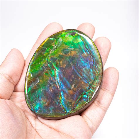 斑彩石招財|加拿大斑彩石 (Ammolite)產品及介紹 